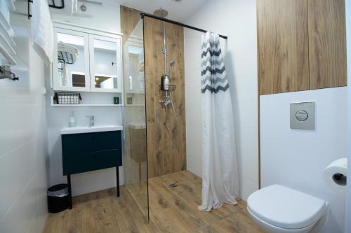 W łazience znajduje się prysznic, toaleta i umywalka. w obiekcie Starovka Apartament w Elblągu
