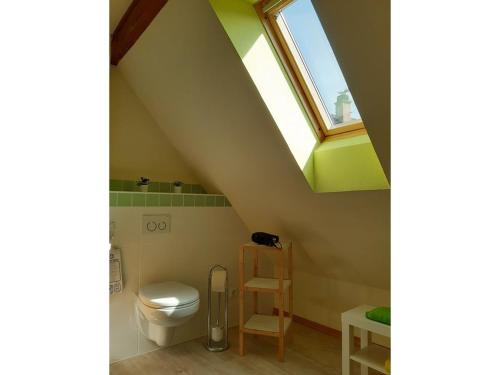 a bathroom with a toilet and a window at Rosenhof Broggingen in Herbolzheim