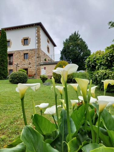 Φωτογραφία από το άλμπουμ του Vivienda Rural - Apartamentos La Cueva - Hornedo σε Entrambasaguas