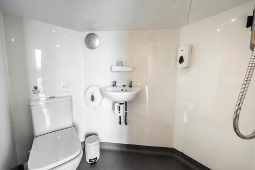 a bathroom with a toilet and a sink at Delny Glamping and Farm Animals in Invergordon