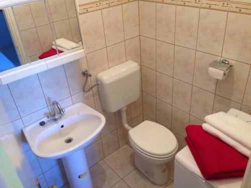 een badkamer met een wit toilet en een wastafel bij Villa Marija in Smokvica