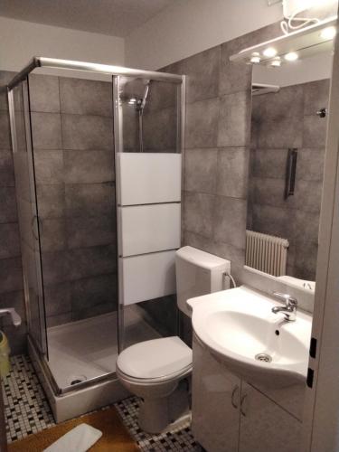 La salle de bains est pourvue d'une douche, de toilettes et d'un lavabo. dans l'établissement Mühlwinkler Hof, à Bergen