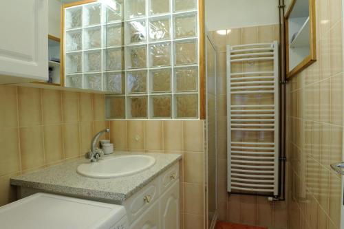 ein Bad mit einem Waschbecken, einem Spiegel und einer Dusche in der Unterkunft Le claujovin in Méry-sur-Seine