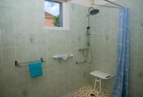 ein Badezimmer mit einer Dusche mit einem blauen Duschvorhang in der Unterkunft Le saint laurent in Morvilliers