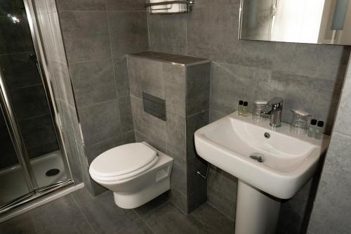 a bathroom with a toilet and a sink at Phoenix Park Hotel in Dublin