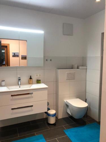 a bathroom with a toilet and a sink and a mirror at Ferienwohnung Mader in Kolsass