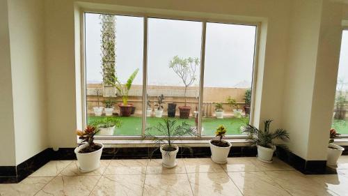a room with a large window with potted plants at Amahi Inn in Gurgaon
