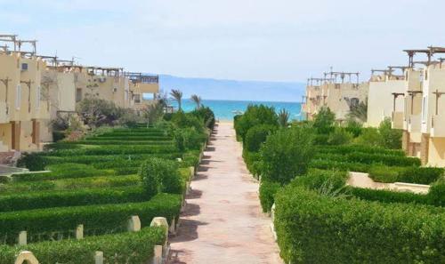 a path through a garden with bushes and buildings at Blu lagon in Ras Sedr