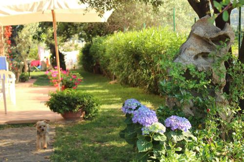 Gallery image of B&B I Mari in Torpè
