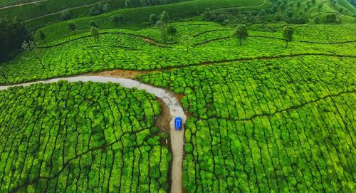 a car driving on a road through a field at Wildnature in Devikolam