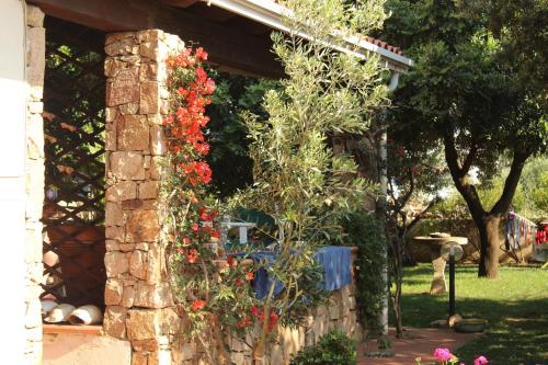 Gallery image of B&B I Mari in Torpè