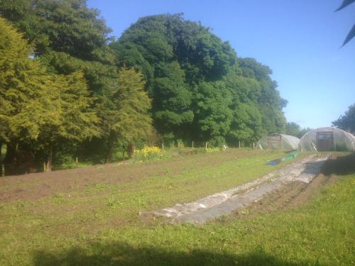 a field with trees in the background with a tent at The Old Post Office Lodge in Enniskillen