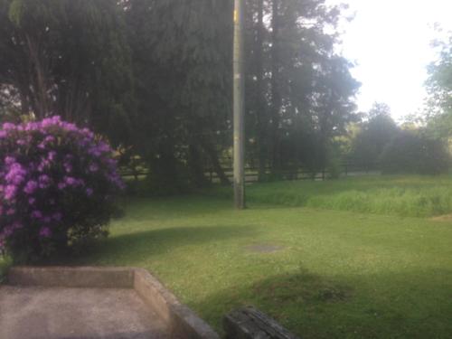 a green yard with purple flowers and a pole at The Old Post Office Lodge in Enniskillen