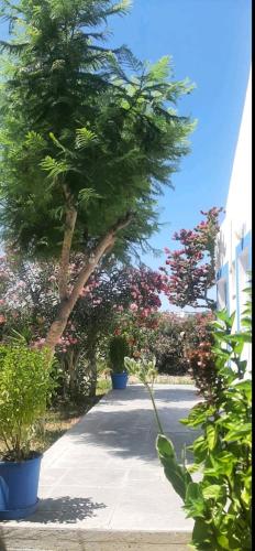 Φωτογραφία από το άλμπουμ του Nefeli Apartments στην Κέφαλο