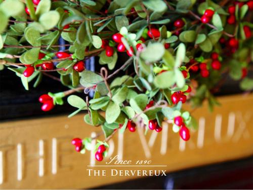 a branch of a tree with red berries on it at The Devereux Boutique Hotel in Auckland