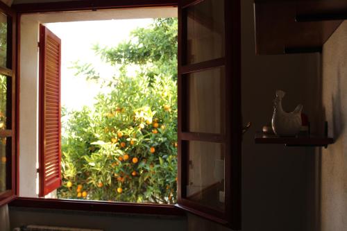 Gallery image of B&B I Mari in Torpè