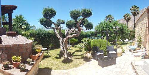 a garden with a tree and chairs and plants at Holiday Home Baia Cofano in Custonaci
