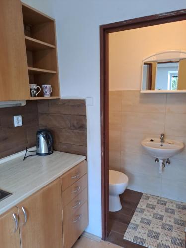 a bathroom with a sink and a toilet at Apartmán s terasou in Olomouc