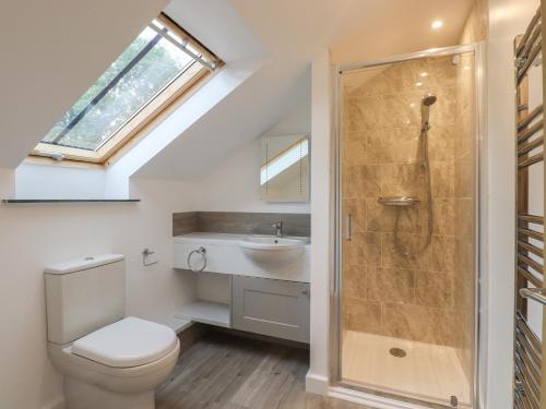 a bathroom with a toilet and a sink and a shower at Swallows Lodge in Edenbridge