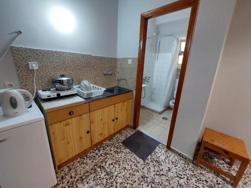 a kitchen with a sink and a shower in a room at Zagas Hotel &Xi;&epsilon;&nu;&omicron;&delta;&omicron;&chi;&epsilon;&iota;&omicron; &Zeta;ά&gamma;&kappa;&alpha;&sigmaf; in Rovies