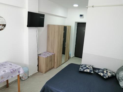 1 dormitorio con 1 cama, TV y armario en Ady & Marcy - Demisol 3, en Onești