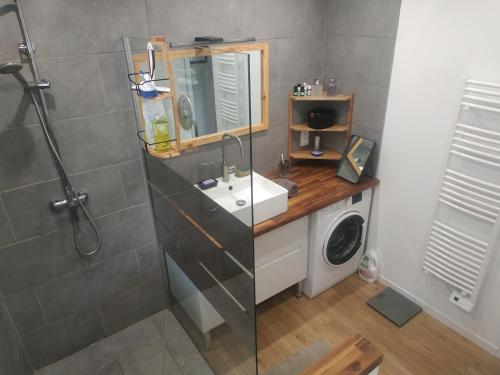 une salle de bain avec un lavabo et une machine à laver dans l'établissement Fred, à Messanges