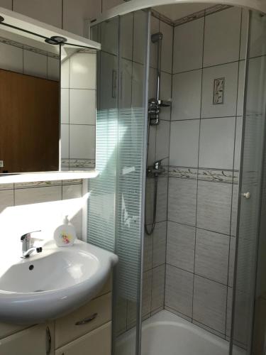 a bathroom with a sink and a glass shower at Apartmán Pod Věží in Telč