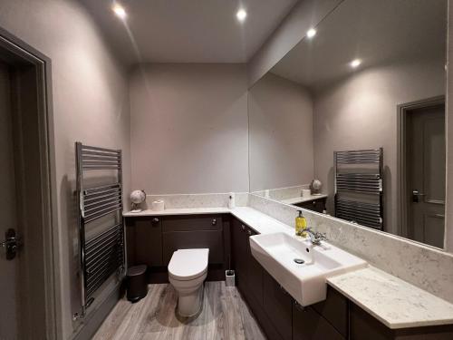 uma casa de banho com um lavatório, um WC e um espelho. em Luxury apartment Berkshire em Binfield