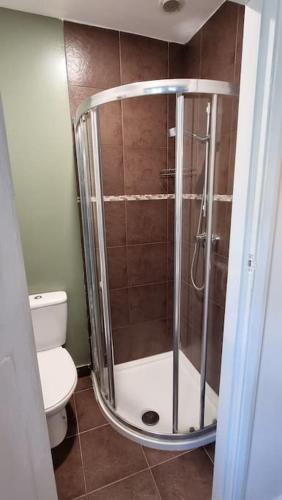 uma casa de banho com um chuveiro e um WC. em Studio Flat em Nottingham