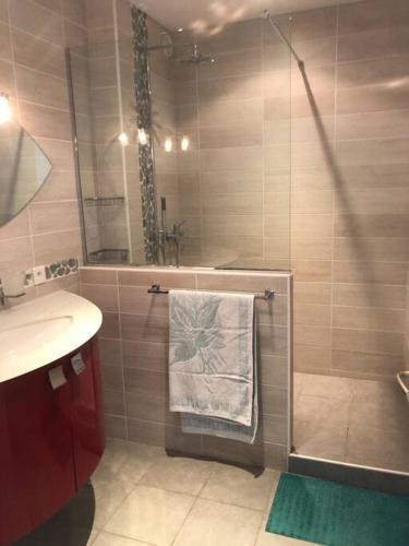 La salle de bains est pourvue d'une douche, d'un lavabo et d'une serviette. dans l'établissement T2 neuf tout équipé de 65 m2 climatisé + balcon, à Vienne