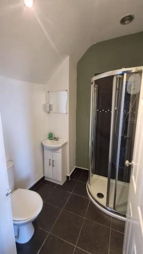 La salle de bains est pourvue d'une douche et de toilettes. dans l'établissement Studio Flat, à Nottingham