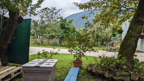 einen Garten mit einer Holzbank und einem Baum in der Unterkunft Martvili Guest House OASIS in Martvili
