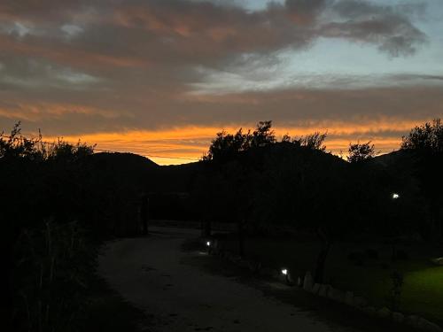 a sunset over a dirt road with bushes and trees at RusticHome in Torpè