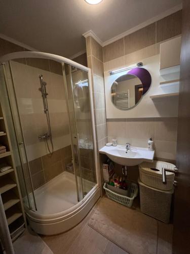 uma casa de banho com um chuveiro e um lavatório. em Apartman Zvijezda, Zenica em Zenica