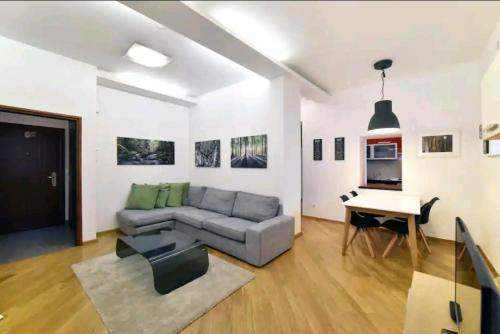 Apartment Viktor