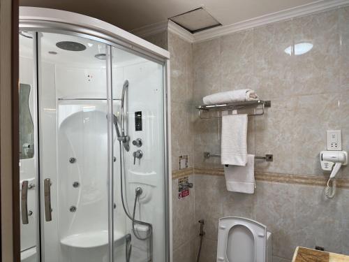 a bathroom with a shower and a toilet at Grand Palace Hotel Lusaka in Lusaka