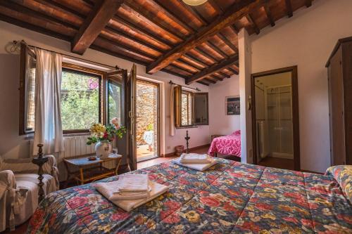 Un dormitorio con una cama grande y una ventana en Borgo De Salaioli, en Scansano