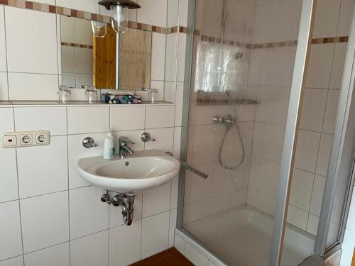 ein Bad mit einem Waschbecken und einer Dusche in der Unterkunft GENSLEITEN in Reut