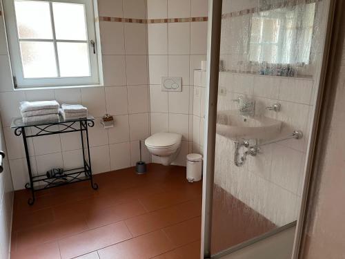 a bathroom with a toilet and a sink at GENSLEITEN in Reut