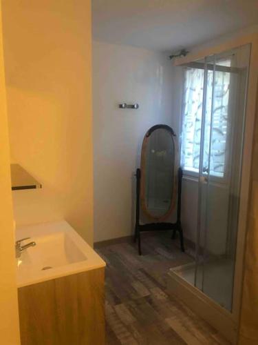 een badkamer met een wastafel en een spiegel bij Appartement en pleine forêt in Sainte-Hélène