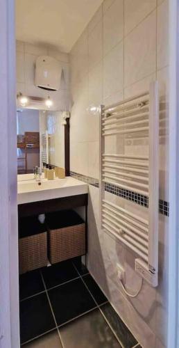 une salle de bain avec un lavabo et un miroir dans l'établissement Appartement les deux alpes+parking couvert, à Les Deux Alpes