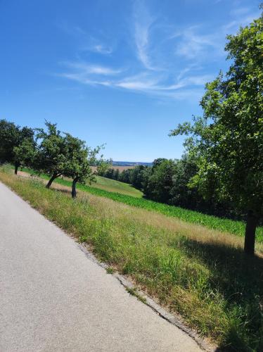 a road with trees on the side of a field at Mobile Tinyhouse by Wolfsberger in Mayrhof