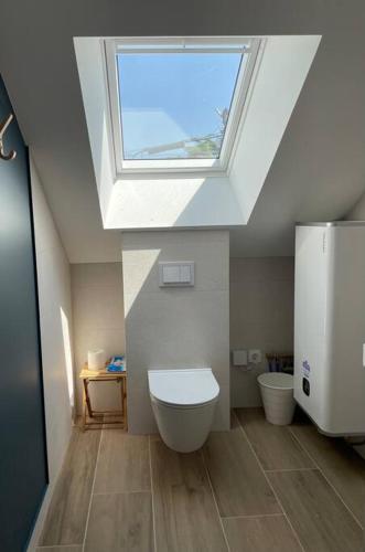 La salle de bains est pourvue de toilettes et d'une lucarne. dans l'établissement Studio avec vue mer - Billiers, à Billiers