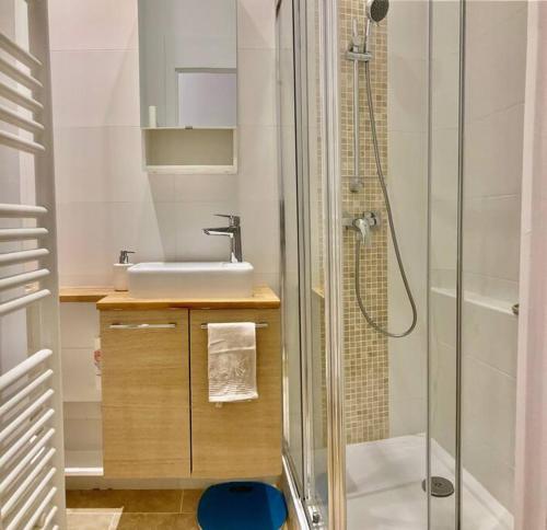 a bathroom with a sink and a shower at Appartement confortable et complet in Clichy