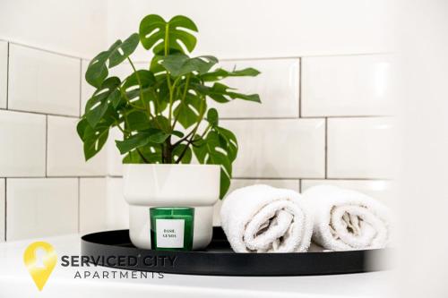 考文垂的住宿－SCA- Arden Apartment 4 Twin Bedroom Free Parking，浴室架子上的一个盆栽植物和毛巾