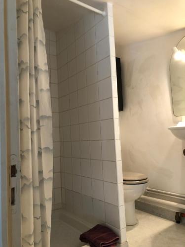 a bathroom with a toilet and a shower at Studio Proche L'Isle sur Sorgue in Le Thor