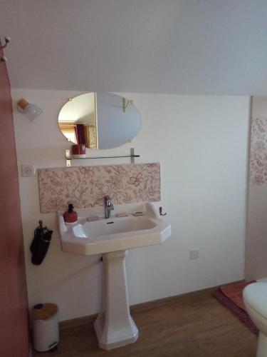 une salle de bain avec un lavabo et un miroir dans l'établissement La Vicoise Accueillante, à Vic-Fezensac