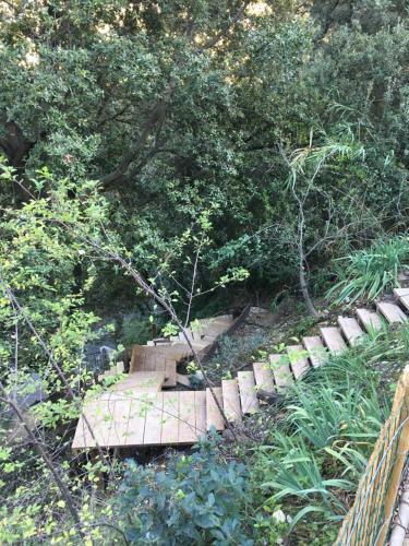 a wooden bridge in the middle of a garden at Chalet dans les arbres in Nice