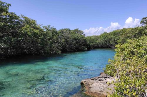 a river in the middle of a forest with blue water at Aku-Chic Newly furbished condo Jungle pool in Xetna