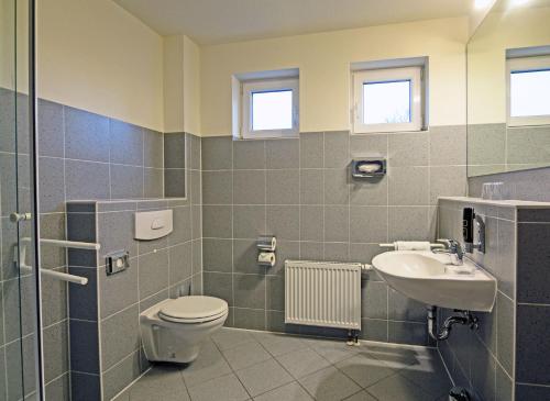 La salle de bains est pourvue de toilettes et d'un lavabo. dans l'établissement Hotel Zur Sonne, à Waren